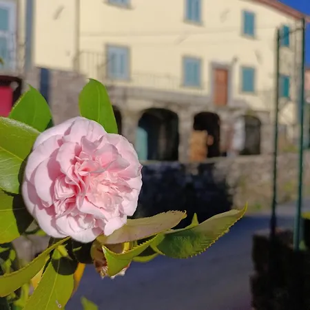 Couette-café Palazzo Modafi Bagni di Lucca